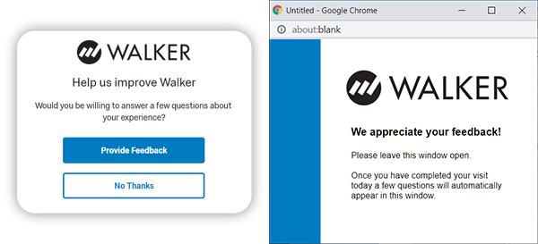 Site Experience Images